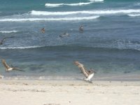 DSCF1119
