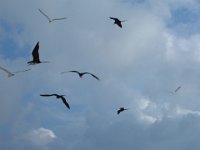 DSCF1129