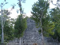 DSCF1133