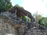 DSCF1138