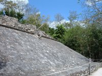 DSCF1141