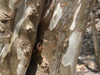 DSCF1145
