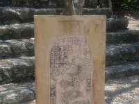 DSCF1154
