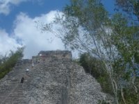 DSCF1156