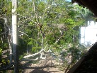 DSCF1166