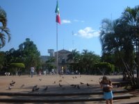 DSCF1168