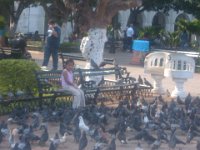 DSCF1169