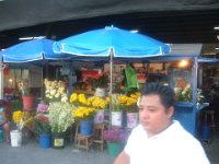 DSCF1176