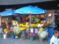 DSCF1177