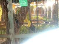 DSCF1182