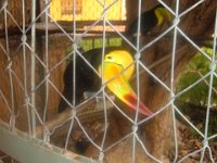 DSCF1185