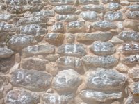 DSCF1195