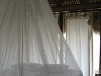 IMG 0006
