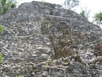 IMG 0020