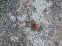IMG 0021