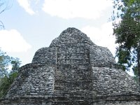 IMG 0032