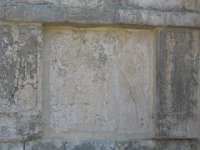 IMG 0071