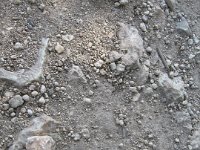 IMG 0087