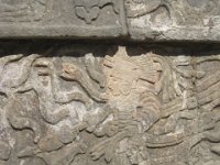 IMG 0107