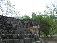 IMG 0119