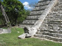 IMG 0131