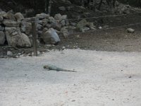 IMG 0150