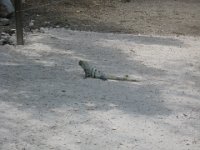 IMG 0151