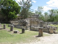 IMG 0176