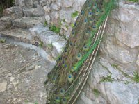 IMG 0211