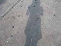 IMG 0235