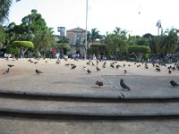 IMG 0239