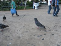 IMG 0241