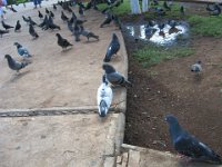 IMG 0243