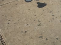 IMG 0246