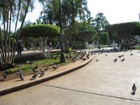 IMG 0249