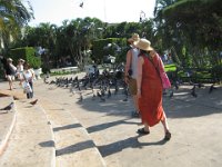 IMG 0255
