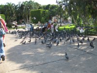IMG 0256