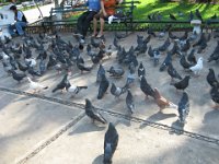 IMG 0259