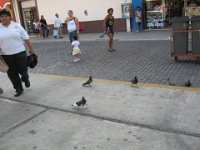 IMG 0272