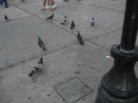 IMG 0273