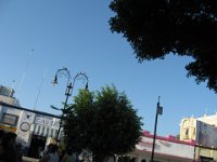 IMG 0274