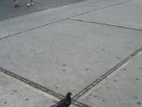 IMG 0275