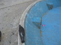 IMG 0279