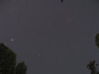 IMG 0293