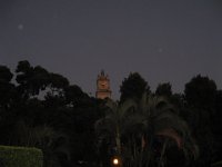 IMG 0294