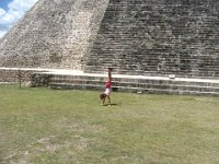 IMG 0318