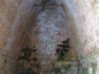 IMG 0324