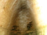IMG 0325
