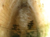 IMG 0326