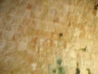 IMG 0328
